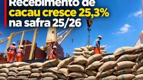 Recebimento de cacau cresce 25,3% na safra 25/26